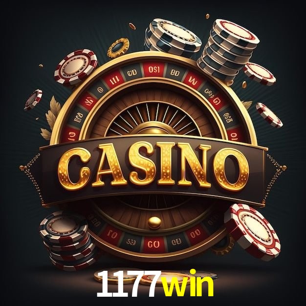Interface Premium 1177win
